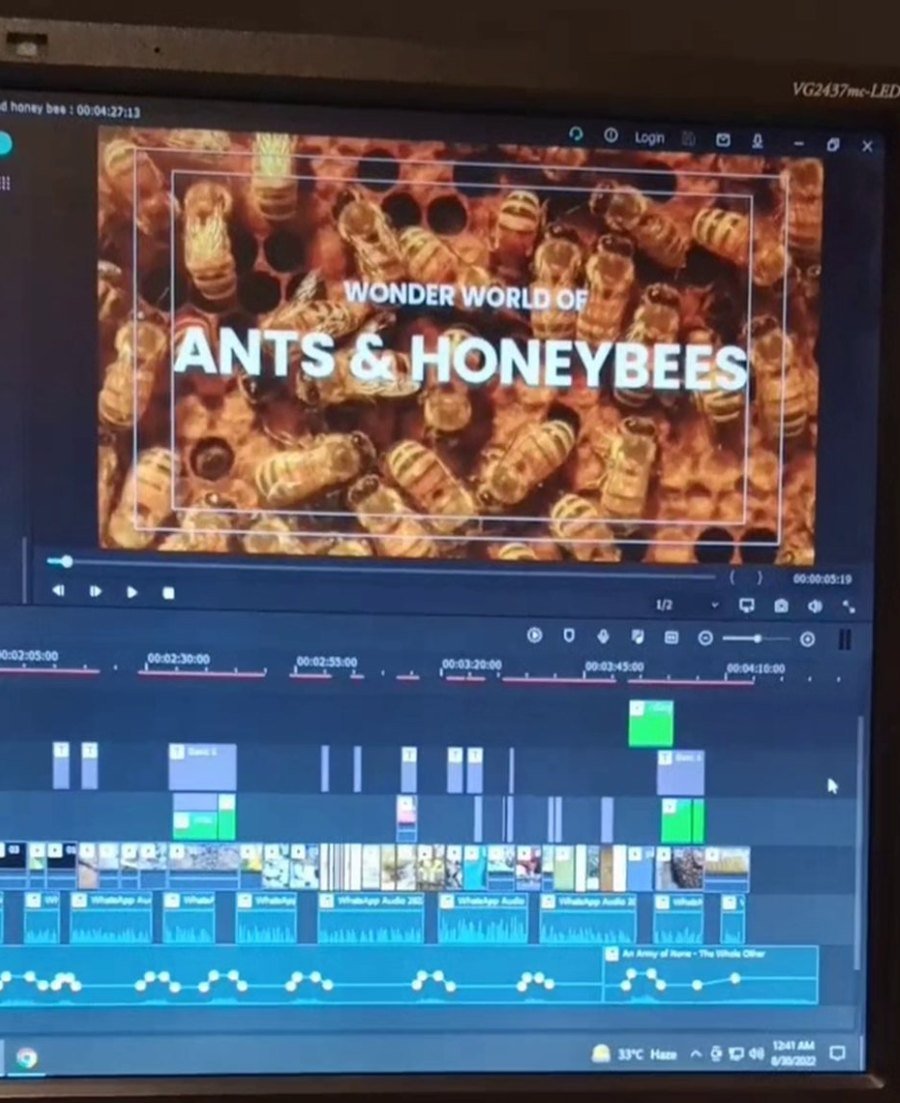 Behind the scenes: the edit timeline for Wonder World of Ants & Honeybees